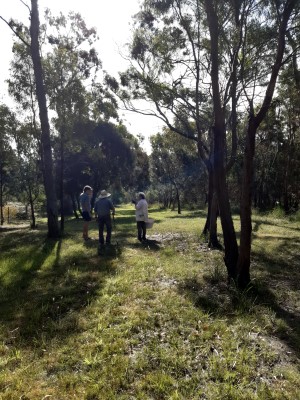 Southern end of Ada Street Reserve